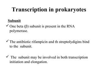 Transcription in prokaryotes
Subunit
One beta (β) subunit is present in the RNA
polymerase.
The antibiotic rifampicin and th streptolydigins bind
to the subunit.
 The subunit may be involved in both transcription
initiation and elongation.
 