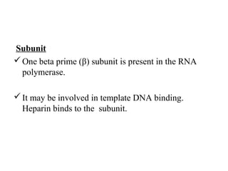 Subunit
One beta prime (β) subunit is present in the RNA
polymerase.
It may be involved in template DNA binding.
Heparin binds to the subunit.
 