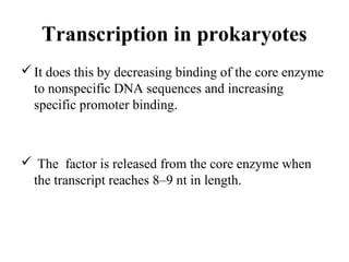 Transcription in prokaryotes
It does this by decreasing binding of the core enzyme
to nonspecific DNA sequences and increasing
specific promoter binding.
 The factor is released from the core enzyme when
the transcript reaches 8–9 nt in length.
 