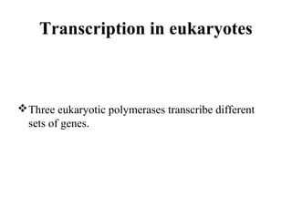 Transcription in eukaryotes
Three eukaryotic polymerases transcribe different
sets of genes.
 