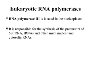 Eukaryotic RNA polymerases
RNA polymerase III is located in the nucleoplasm.
It is responsible for the synthesis of the precursors of
5S rRNA, tRNAs and other small nuclear and
cytosolic RNAs.
 