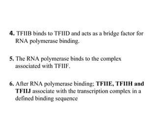 4. TFIIB binds to TFIID and acts as a bridge factor for
RNA polymerase binding.
5. The RNA polymerase binds to the complex
associated with TFIIF.
6. After RNA polymerase binding; TFIIE, TFIIH and
TFIIJ associate with the transcription complex in a
defined binding sequence
 
