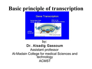 Basic principle of transcription
by:
Dr. Alsadig Gassoum
Assistant professor
Al-Madain College for medical Sciences and
technology
ACMST
 