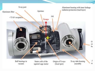 Basic principle of x ray | PPTX