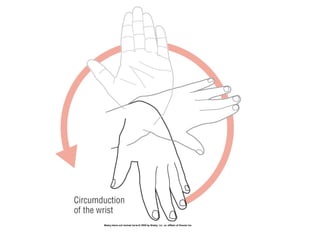 Basic principles of Kinesiology