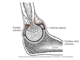 Basic principles of Kinesiology