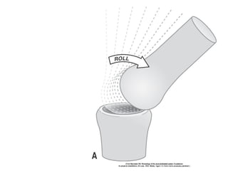 Basic principles of Kinesiology