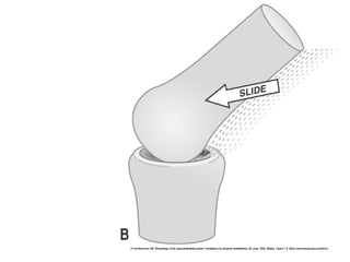 Basic principles of Kinesiology