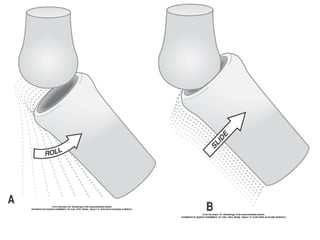 Basic principles of Kinesiology