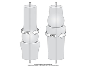 Basic principles of Kinesiology