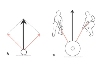 Basic principles of Kinesiology