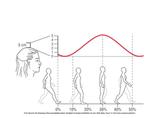 Basic principles of Kinesiology