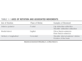 Basic principles of Kinesiology