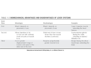 Basic principles of Kinesiology