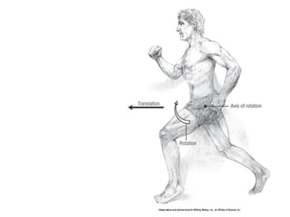 Basic principles of Kinesiology