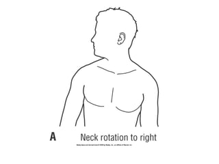 Basic principles of Kinesiology