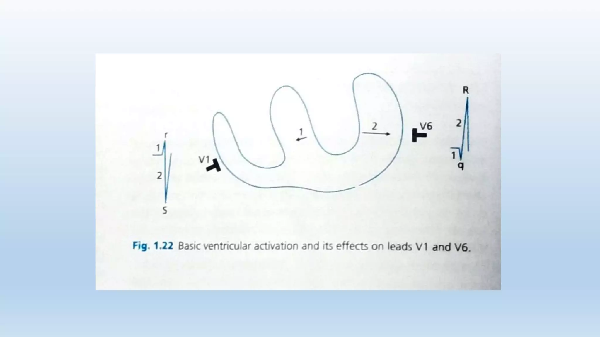 BASICS OF ECG pptx.pptx