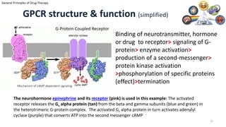 Pharmacology Definitions, Nomenclature and Pharmacodynamics I | PDF