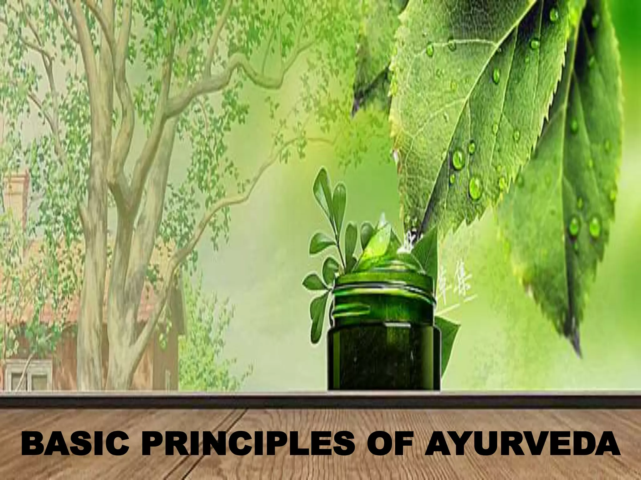 basic principles Ayurveda PDF.pdf