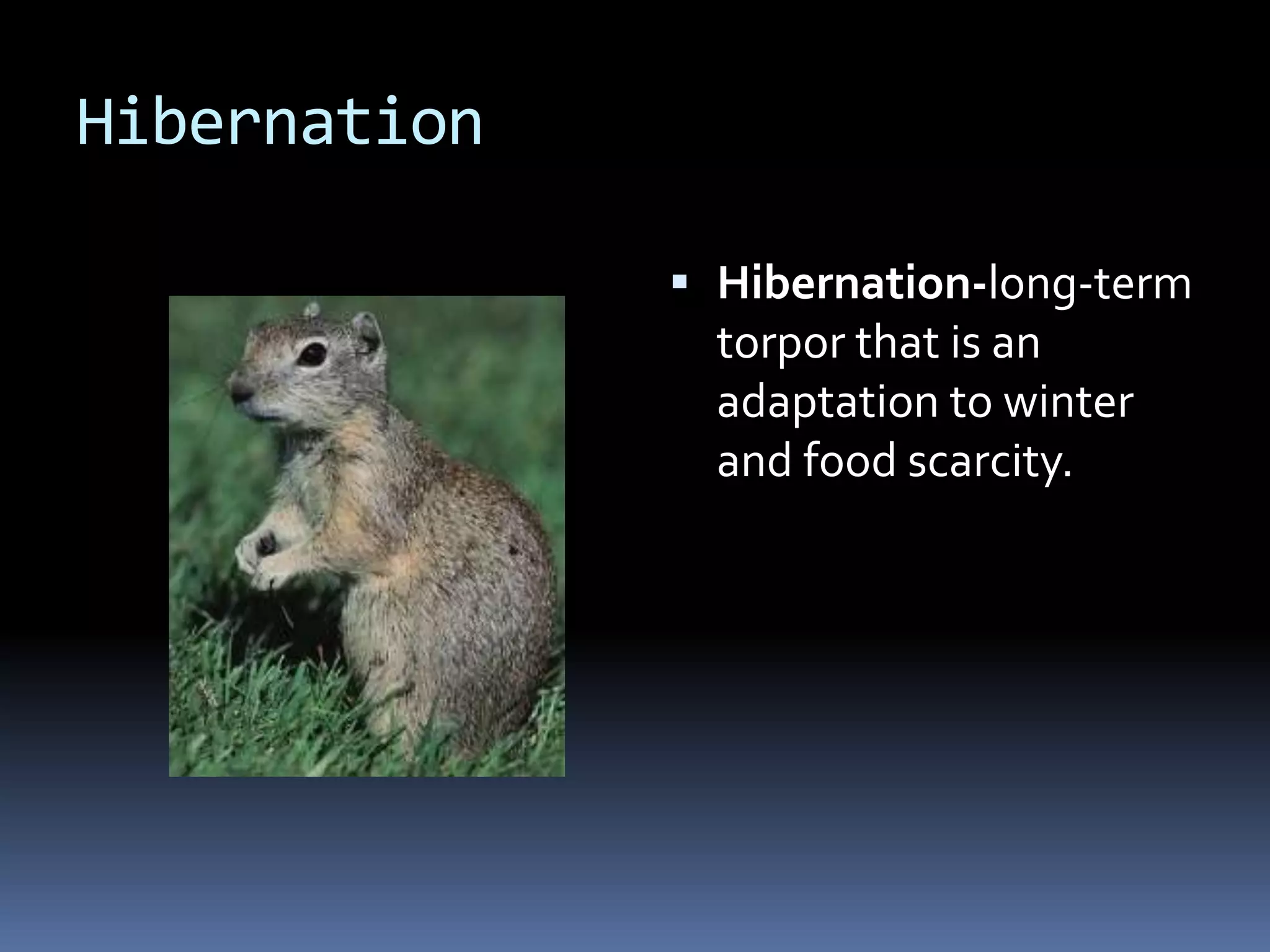 Hibernation

               Hibernation-long-term
                torpor that is an
                adaptation to winter
                and food scarcity.
 