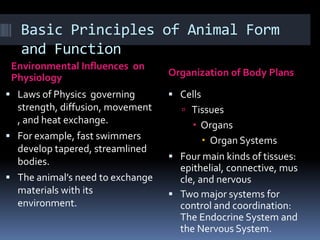Basic Principles of Animal Form
   and Function
 Environmental Influences on
 Physiology                       Organization of Body Plans

 Laws of Physics governing        Cells
  strength, diffusion, movement      Tissues
  , and heat exchange.                  Organs
 For example, fast swimmers               Organ Systems
  develop tapered, streamlined
                                   Four main kinds of tissues:
  bodies.
                                    epithelial, connective, mus
 The animal’s need to exchange     cle, and nervous
  materials with its               Two major systems for
  environment.                      control and coordination:
                                    The Endocrine System and
                                    the Nervous System.
 
