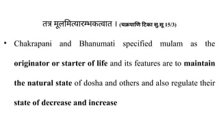 तत्र मूलमित्यारम्भकत्वात । (चक्रपाणि टिका सु.सू 15/3)
• Chakrapani and Bhanumati specified mulam as the
originator or starter of life and its features are to maintain
the natural state of dosha and others and also regulate their
state of decrease and increase
 