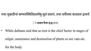 यथा वृक्षादीनां सम्भवस्थितिप्रलयेषु मूलं प्रधानं, ​
तथा शरीरस्य वातादय इत्यर्थ
: । (डल्हण टिका सु.सू 15/3)
• While dalhana said that as root is the chief factor in stages of
origin, sustenance and destruction of plants so are vata etc.
for the body
 