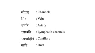 स्रोतस् : Channels
सिर : Vein
धमनि : Artery
रसायनि : Lymphatic channels
रसवाहिनि : Capillary
नाडि : Duct
 