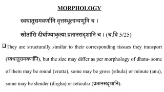 MORPHOLOGY
स्वधातुसमवर्णानि वृत्तस्थूलान्यणूनि च ।
स्रोतांसि दीर्घाण्याक
ृ त्या प्रतानसदृशानि च । (च.वि 5/25)
They are structurally similar to their corresponding tissues they transport
(स्वधातुसमवर्णानि), but the size may differ as per morphology of dhatu- some
of them may be round (vrutta), some may be gross (sthula) or minute (anu),
some may be slender (dirgha) or reticular (प्रतानसदृशानि).
 