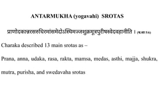 प्राणोदकान्नरसरुधिरमांसमेदोऽस्थिमज्जशुक्रमूत्रपुरीषस्वेदवहानीति । ( ​
च.शा 5/6)
Charaka described 13 main srotas as –
Prana, anna, udaka, rasa, rakta, mamsa, medas, asthi, majja, shukra,
mutra, purisha, and swedavaha srotas
ANTARMUKHA (yogavahi) SROTAS
 