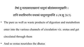 तेषां तु मलप्रसादाख्यानां धातुनां स्रोतांस्ययनमुखानि ।
तानि यथाविभागेन यथास्वं धातूनापूरयन्ति ॥ ( ​
च.सु 28/5)
• The pure as well as waste products of digestion and metabolism
enter into the various channels of circulation viz. srotas and get
circulated through them
• And so srotas nourishes the dhatus
 