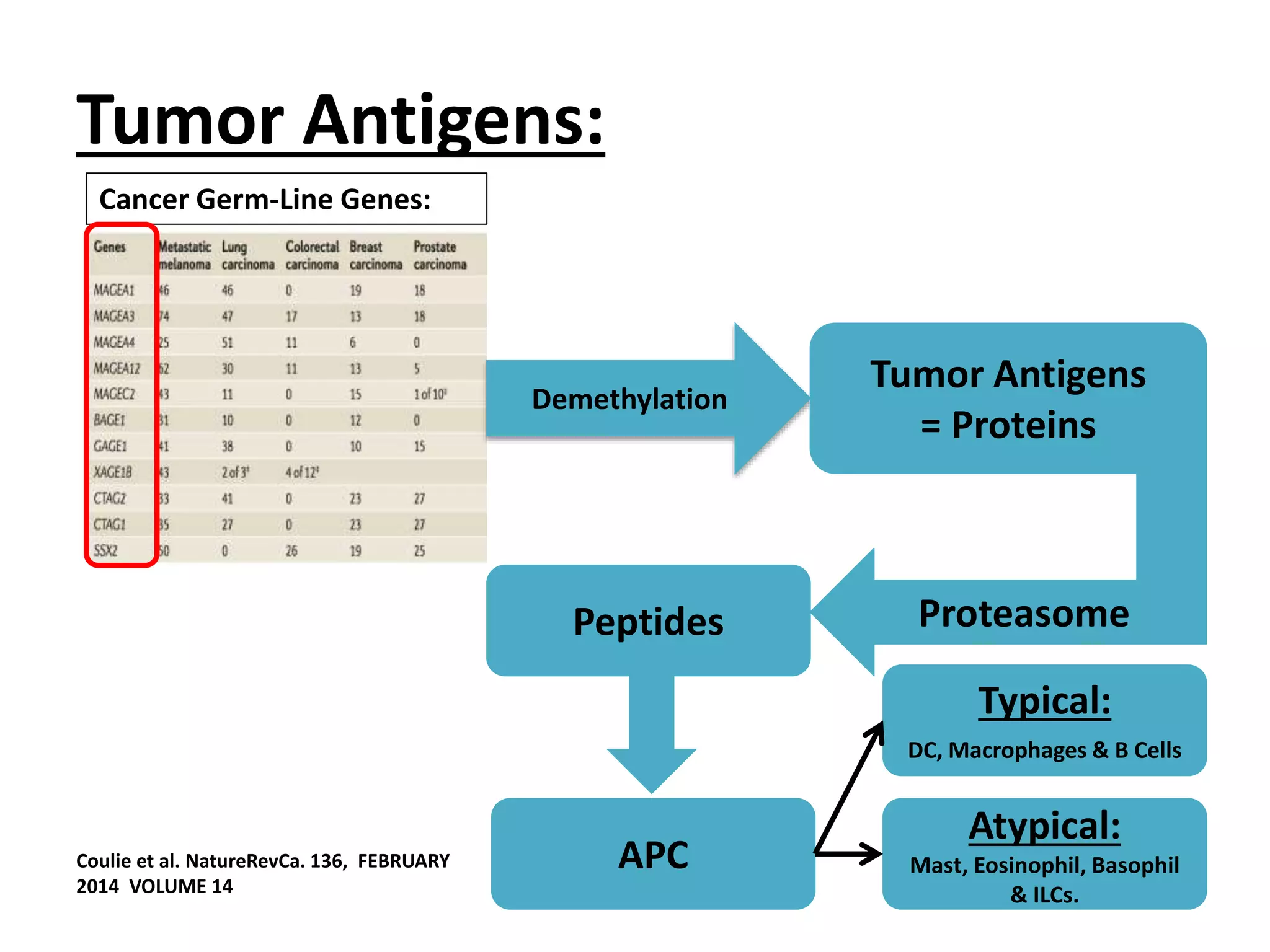 Basic principles of cancer immunotherapy | PPTX