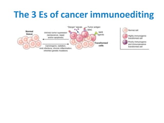 Basic principles of cancer immunotherapy | PPTX