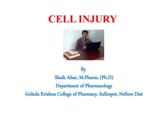 CELL INJURY
By
Shaik Afsar, M.Pharm, (Ph.D)
Department of Pharmacology
Gokula Krishna College of Pharmacy, Sullurpet, Nellore Dist
 