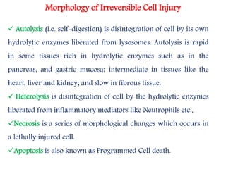 Basic principles of cell injury | PPTX