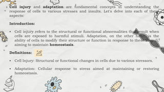 Cell injury and adaptation are fundamental concepts in understanding the
response of cells to various stresses and insults. Let's delve into each of these
aspects:
Introduction:
 Cell injury refers to the structural or functional abnormalities that result when
cells are exposed to harmful stimuli. Adaptation, on the other hand, is the
ability of cells to modify their structure or function in response to these stimuli,
aiming to maintain homeostasis.
Definitions:
 Cell Injury: Structural or functional changes in cells due to various stressors.
 Adaptation: Cellular response to stress aimed at maintaining or restoring
homeostasis.
 