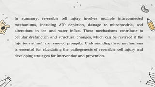 In summary, reversible cell injury involves multiple interconnected
mechanisms, including ATP depletion, damage to mitochondria, and
alterations in ion and water influx. These mechanisms contribute to
cellular dysfunction and structural changes, which can be reversed if the
injurious stimuli are removed promptly. Understanding these mechanisms
is essential for elucidating the pathogenesis of reversible cell injury and
developing strategies for intervention and prevention.
 