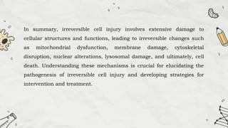 In summary, irreversible cell injury involves extensive damage to
cellular structures and functions, leading to irreversible changes such
as mitochondrial dysfunction, membrane damage, cytoskeletal
disruption, nuclear alterations, lysosomal damage, and ultimately, cell
death. Understanding these mechanisms is crucial for elucidating the
pathogenesis of irreversible cell injury and developing strategies for
intervention and treatment.
 