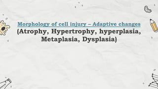 Morphology of cell injury – Adaptive changes
(Atrophy, Hypertrophy, hyperplasia,
Metaplasia, Dysplasia)
 