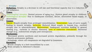1. Atrophy
Definition: Atrophy is a decrease in cell size and functional capacity due to a reduction in
cell substance.
Types:
Physiological Atrophy: Normal process of aging (e.g., thymus gland atrophy in children).
Pathological Atrophy: Due to inadequate nutrition, disuse, diminished blood supply, or
denervation.
Causes:
Disuse: Muscle atrophy from prolonged immobilization; Denervation: Loss of nerve supply
leading to muscle atrophy; Ischemia: Reduced blood supply to tissues (e.g., cerebral
atrophy due to atherosclerosis); Malnutrition: Inadequate nutrition leading to general
wasting (e.g., cachexia in chronic diseases); Loss of endocrine stimulation: Hormonal
changes (e.g., endometrial atrophy post-menopause).
Mechanism:
- Decreased protein synthesis and increased protein degradation, primarily through the
ubiquitin-proteasome pathway.
- Autophagy, where cell components are degraded by lysosomes.
Examples:
- Muscle atrophy in a limb immobilized by a cast.
- Brain atrophy in Alzheimer’s disease.
 