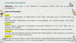 Intracellular Accumulation
Definition: This refers to the build-up of substances within cells due to metabolic
derangements.
Types and Examples:
Lipids:
Steatosis: Accumulation of triglycerides in liver cells, commonly seen in alcohol abuse or
obesity.
Atherosclerosis: Cholesterol accumulates in macrophages and smooth muscle cells within
arterial walls.
Proteins:
Mallory Bodies: Aggregates of damaged intermediate filaments in liver cells, often seen in
alcoholic liver disease.
Amyloidosis: Accumulation of misfolded proteins forming amyloid deposits in various tissues.
Glycogen:
Glycogen Storage Diseases: Genetic disorders like Pompe disease, where glycogen accumulates
in tissues due to enzyme deficiencies.
Pigments:
Melanin: Increased melanin in skin cells leading to hyperpigmentation disorders like melasma.
Hemosiderin: Accumulation of iron-containing pigment in conditions like hemochromatosis.
 
