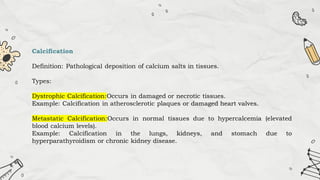 Calcification
Definition: Pathological deposition of calcium salts in tissues.
Types:
Dystrophic Calcification:Occurs in damaged or necrotic tissues.
Example: Calcification in atherosclerotic plaques or damaged heart valves.
Metastatic Calcification:Occurs in normal tissues due to hypercalcemia (elevated
blood calcium levels).
Example: Calcification in the lungs, kidneys, and stomach due to
hyperparathyroidism or chronic kidney disease.
 