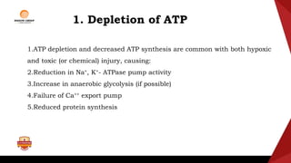 Basic Principles of Cell Injury and Adaptation.pptx