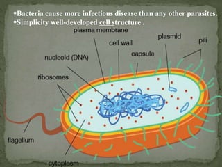 Bacteria cause more infectious disease than any other parasites.
Simplicity well-developed cell structure .
 