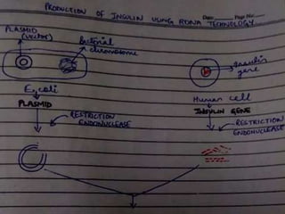 Basic principles of genetic engineering | PPTX