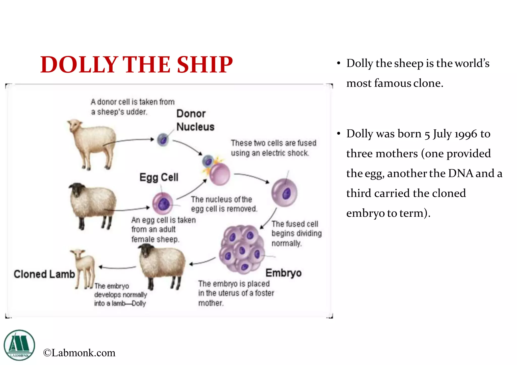 DOLLY THE SHIP • Dolly the sheep is the world’s
most famous clone.
• Dolly was born 5 July 1996 to
three mothers (one provided
the egg, another the DNA and a
third carried the cloned
embryo to term).
©Labmonk.com
 
