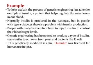 • To help explain the process of genetic engineering lets take the
example of insulin, a protein that helps regulate the sugar levels
in our blood.
• Normally insulin is produced in the pancreas, but in people
with type 1 diabetes there is a problem with insulin production.
• People with diabetes therefore have to inject insulin to control
their blood sugar levels.
• Genetic engineering has been used to produce a type of insulin,
very similar to our own, from yeast and bacteria like E. coli.
• This genetically modified insulin, ‘Humulin’ was licensed for
human use in 1982.
Example
 