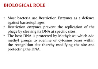 BIOLOGICAL ROLE
• Most bacteria use Restriction Enzymes as a defence
against bacteriophages.
• Restriction enzymes prevent the replication of the
phage by cleaving its DNA at specific sites.
• The host DNA is protected by Methylases which add
methyl groups to adenine or cytosine bases within
the recognition site thereby modifying the site and
protecting the DNA.
 