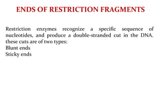 ENDS OF RESTRICTION FRAGMENTS
Restriction enzymes recognize a specific sequence of
nucleotides, and produce a double-stranded cut in the DNA.
these cuts are of two types:
Blunt ends
Sticky ends
 