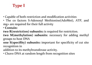 Type I
• Capable of both restriction and modification activities
• The co factors S-Adenosyl Methionine(AdoMet), ATP, and
mg+ are required for their full activity
• Contain:
two R(restriction) subunits: is required for restriction.
two M(methylation) subunits: necessary for adding methyl
groups to host DNA
one S(specifity) subunits: important for specificity of cut site
recognition in
addition to its methyltransferase activity.
• Cleave DNA at random length from recognition sites
 